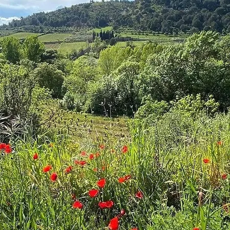 D'hote Au Jardin Le Clos Des Vins D'anges