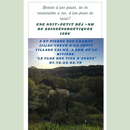 D'hote Au Jardin Le Clos Des Vins D'anges