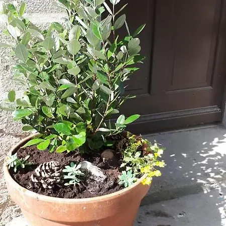 Bed & Breakfast D'hote Au Jardin Le Clos Des Vins D'anges 3*