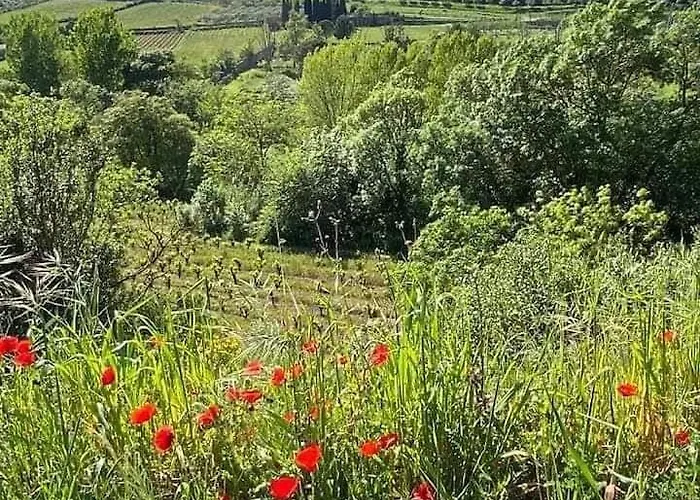 D'hote Au Jardin Le Clos Des Vins D'anges