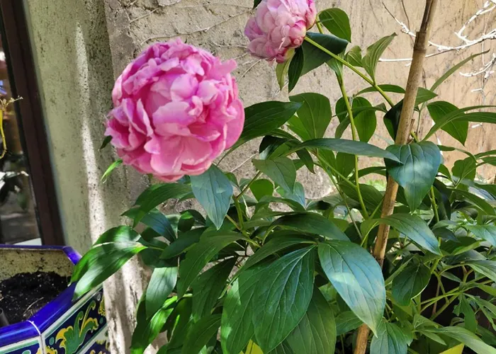 Bed and breakfast D'hote Au Jardin Le Clos Des Vins D'anges Saint-Pierre-des-Champs